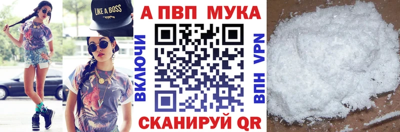 A PVP СК  shop Telegram  Ковров 