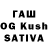 Cannafood конопля Katya Samohvalova