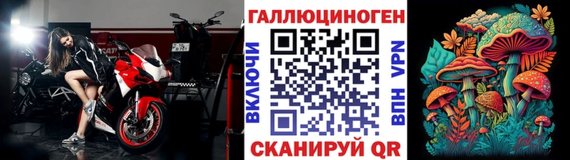 OMG вход  Ковров  Галлюциногенные грибы GOLDEN TEACHER  хочу наркоту 