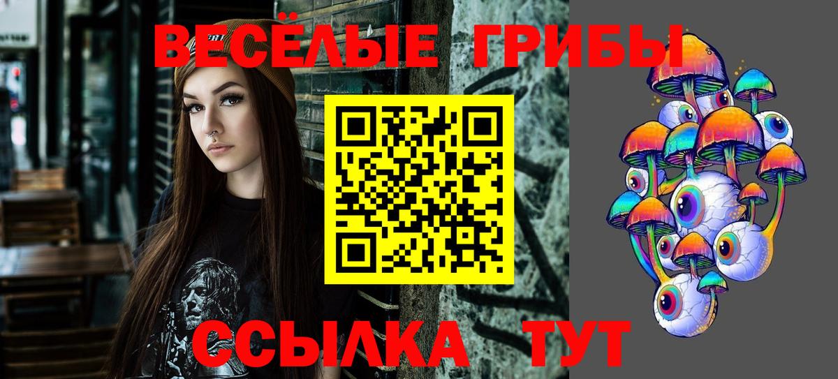 Галлюциногенные грибы Cubensis Ковров