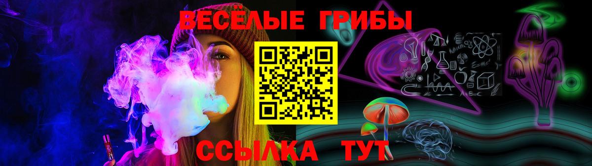 Псилоцибиновые грибы мицелий  Вход с VPN  Ковров 